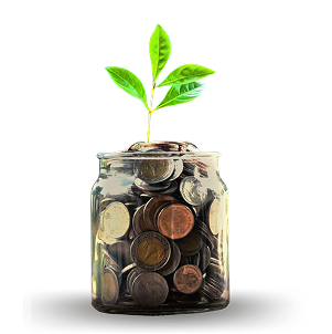 Planta crescendo em moedas